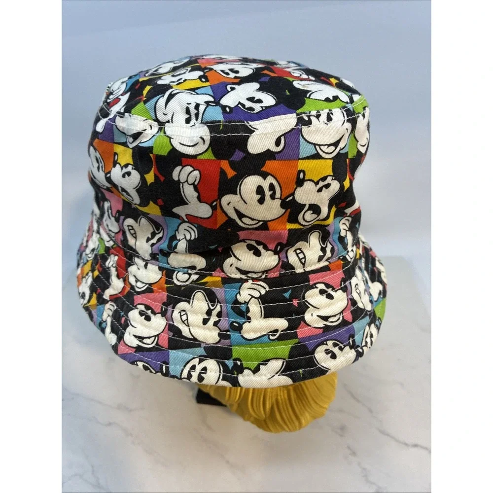 Disney parks hat